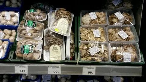 Грибы продаваемые в магазинах