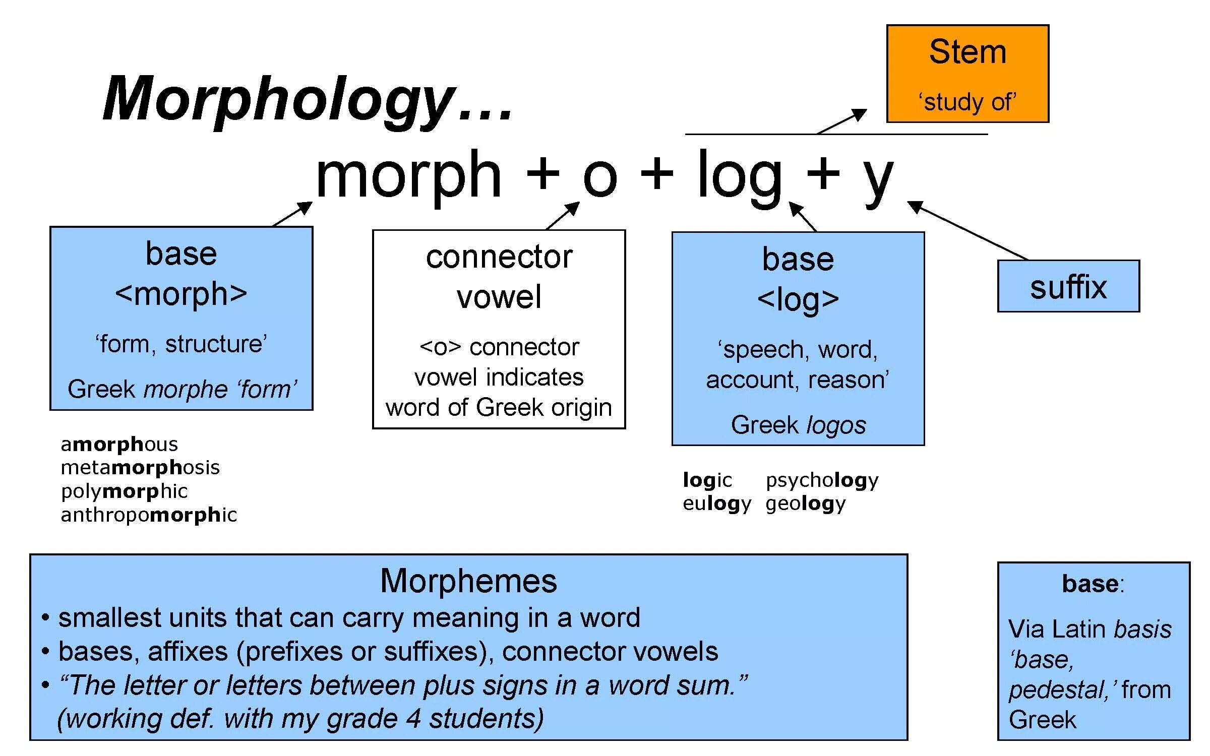 Different types of words. Morphology. What is Morphology. Morphological Analysis of Words. Morphological structure of the Word.