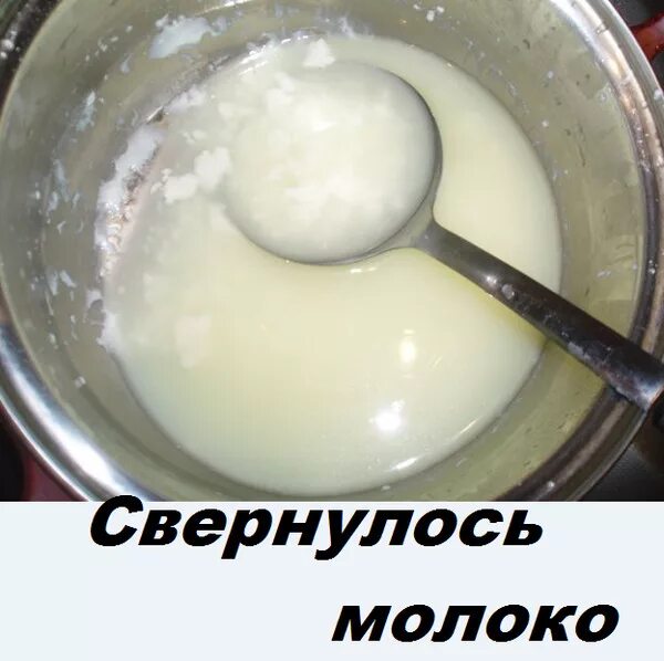Свернулось свежее молоко. Молоко свернулось. молоко сворачивается. молоко сворачивается при кипячении.