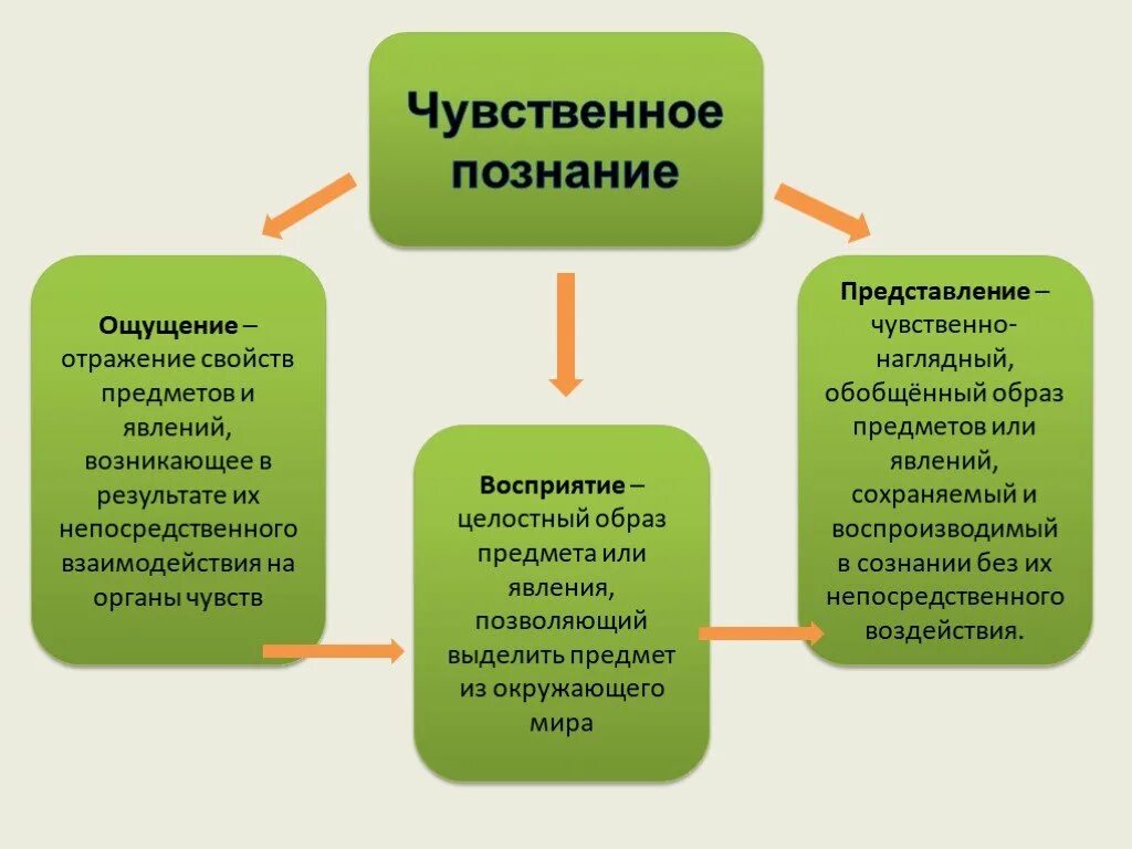 Чувственное познание предметов. Чувственное познание. 1. Чувственное познание.