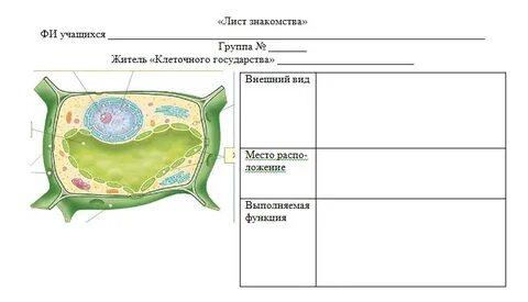 Контрольная работа клетка 6 класс