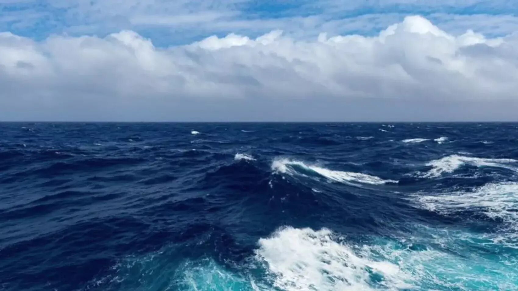What is the world ocean