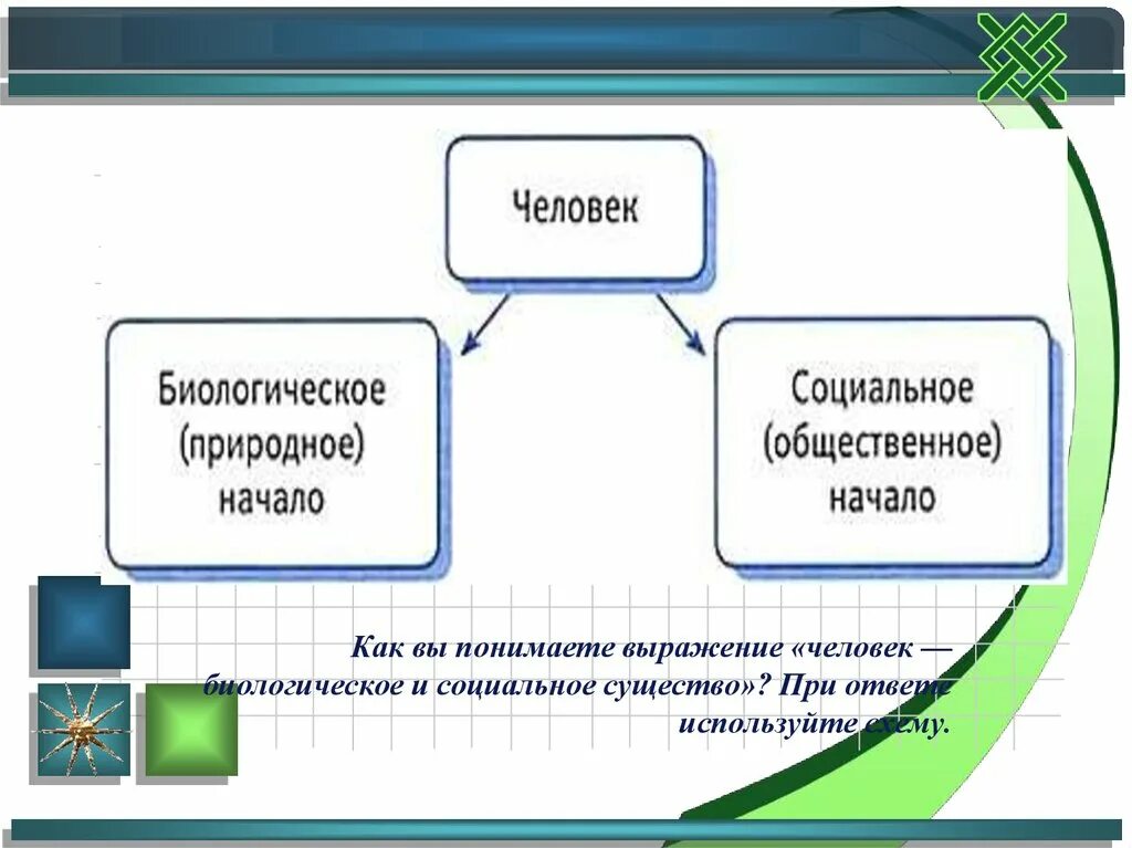 Как вы понимаете выражение человек. Загадка человека обществознание. недостатки человека биология. человек пользуется схемами. заполни схему развитие человека как социального существа.