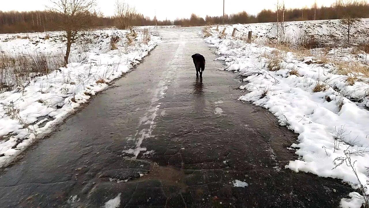 Дорога ошибок не прощает. Зимняя дорога не прощает ошибок. Ледяной дождь на дороге в Кургане. Дорога ошибок не прощает картинки. Красный пыж ушёл зимой с дороги.