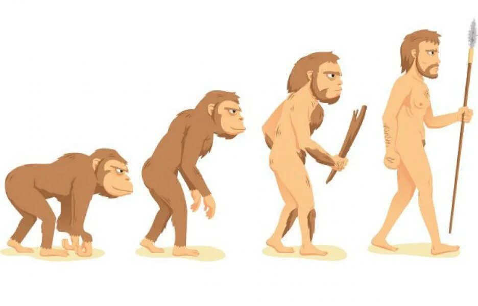 Как появился человек для детей. Хомо сапиенс обезьяна. Эволюция Дарвин хомо. Австралопитек питекантроп неандерталец кроманьонец. Эволюция обезьяны в человека.
