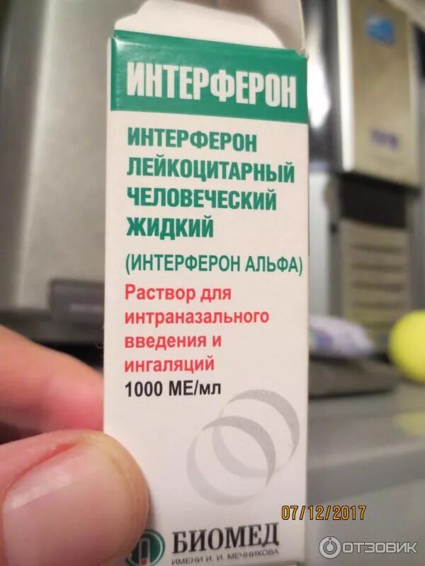 Интерферон спрей инструкция по применению взрослым. Интерферон спрей инструкция по применению взрослым