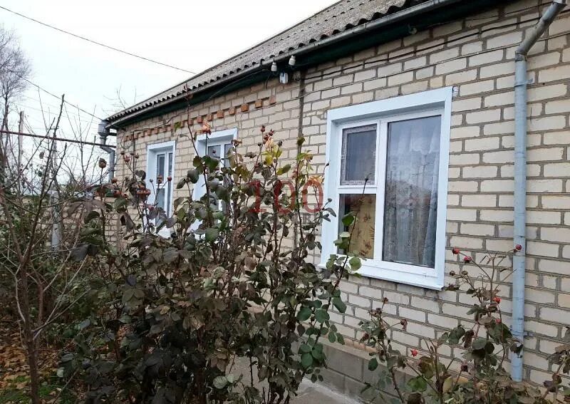 Село вознесеновское ставропольский край. Село белые копани ставропольский край. Ставропольский край апанасенковский район, с. Авито дивное апанасенковский. Айгурский ставропольский край.