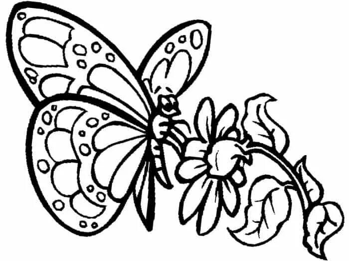 Раскраски для детей бабочка распечатать бесплатно Free Downloadable Coloring Pages Butterfly coloring page, Coloring pages, Printa