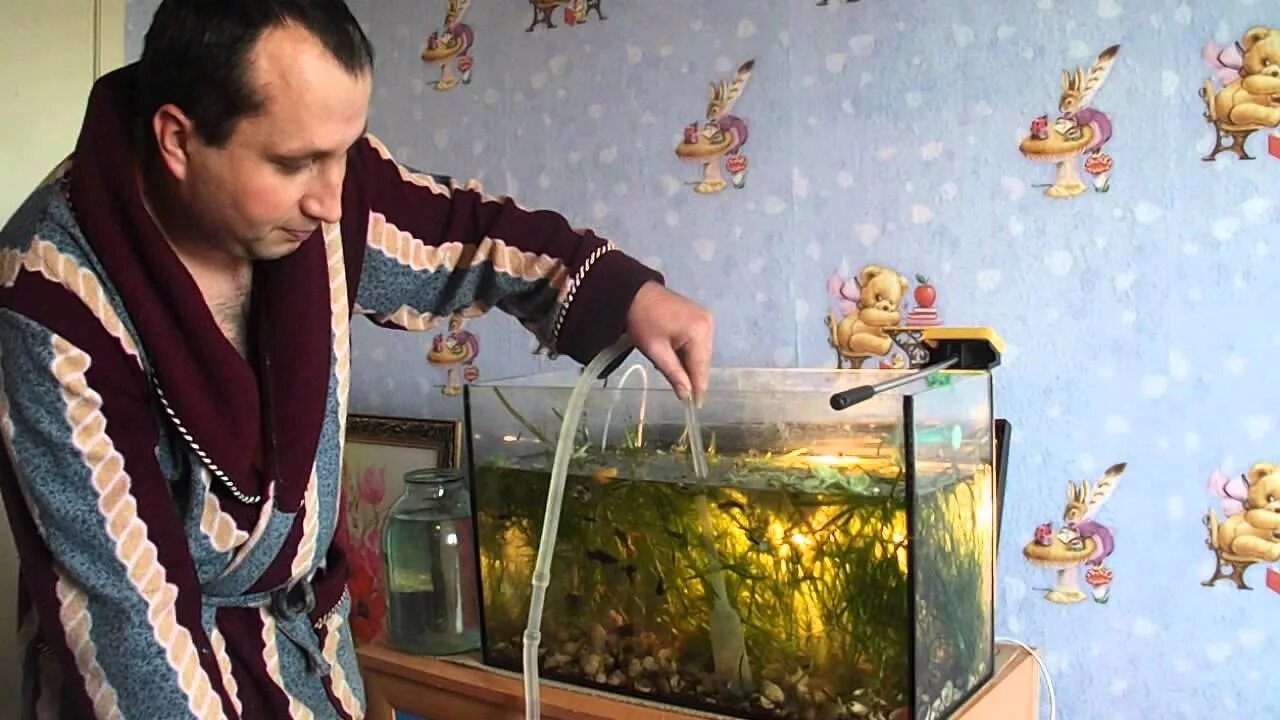 Уход за аквариумными рыбками для детей. Корм для рыбок в аквариуме. Кормление рыб в аквариуме. Аквариум для детей. Рыбки для аквариума.