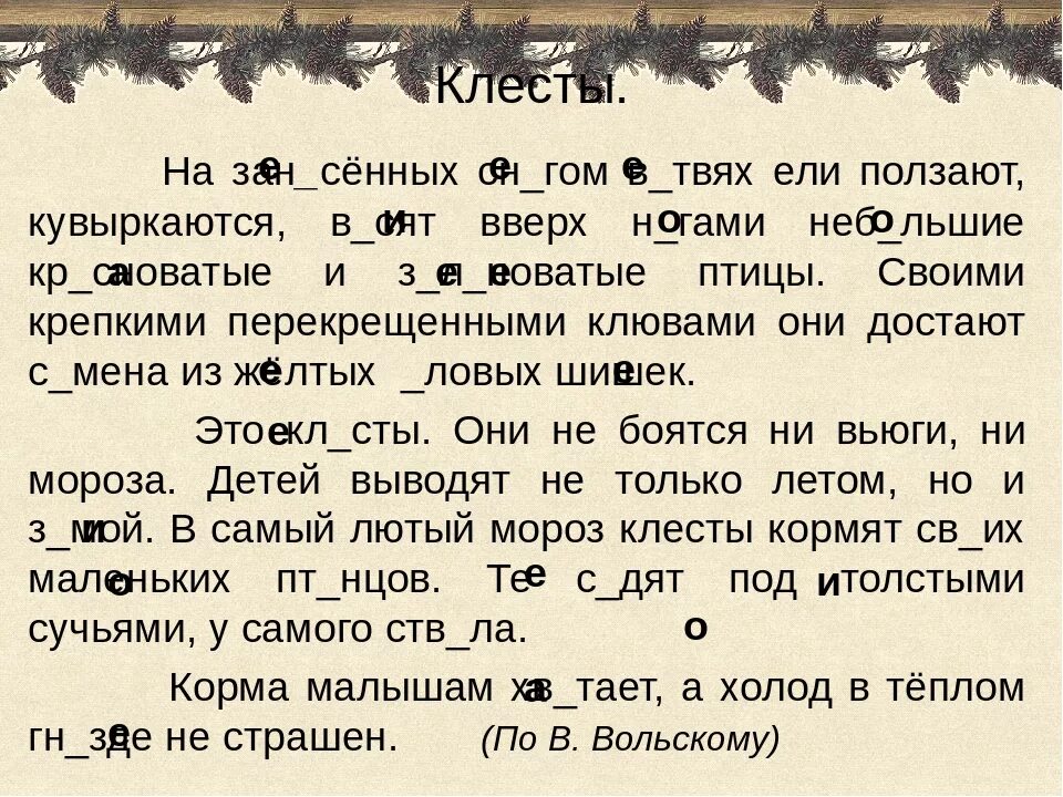 Клесты изложение 3 класс. Клесты изложение 3 класс текст. Диктант клесты. Клесты на занесённых снегом.