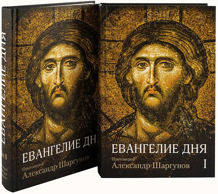 Евангелие дня 2 февраля. Протоиерей Александр Шаргунов Евангелие дня. Евангелия на каждый день. Евангелие сегодняшнего дня. Евангелие книга.