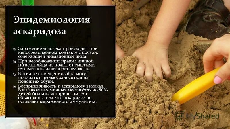 Заражение человека аскаридозом. Пети заражения аскаридозами. Пути заражения гельминтами схема. Как человек может заразиться аскаридой. Меры профилактики против заражения аскаридой человеческой.