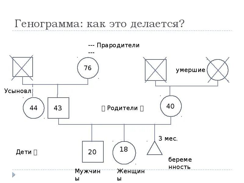 Генограмма пример с описанием и анализом. Генограмма пример с описанием и анализом