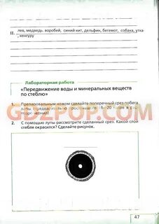 Биология 8 класс сонин с дельфином