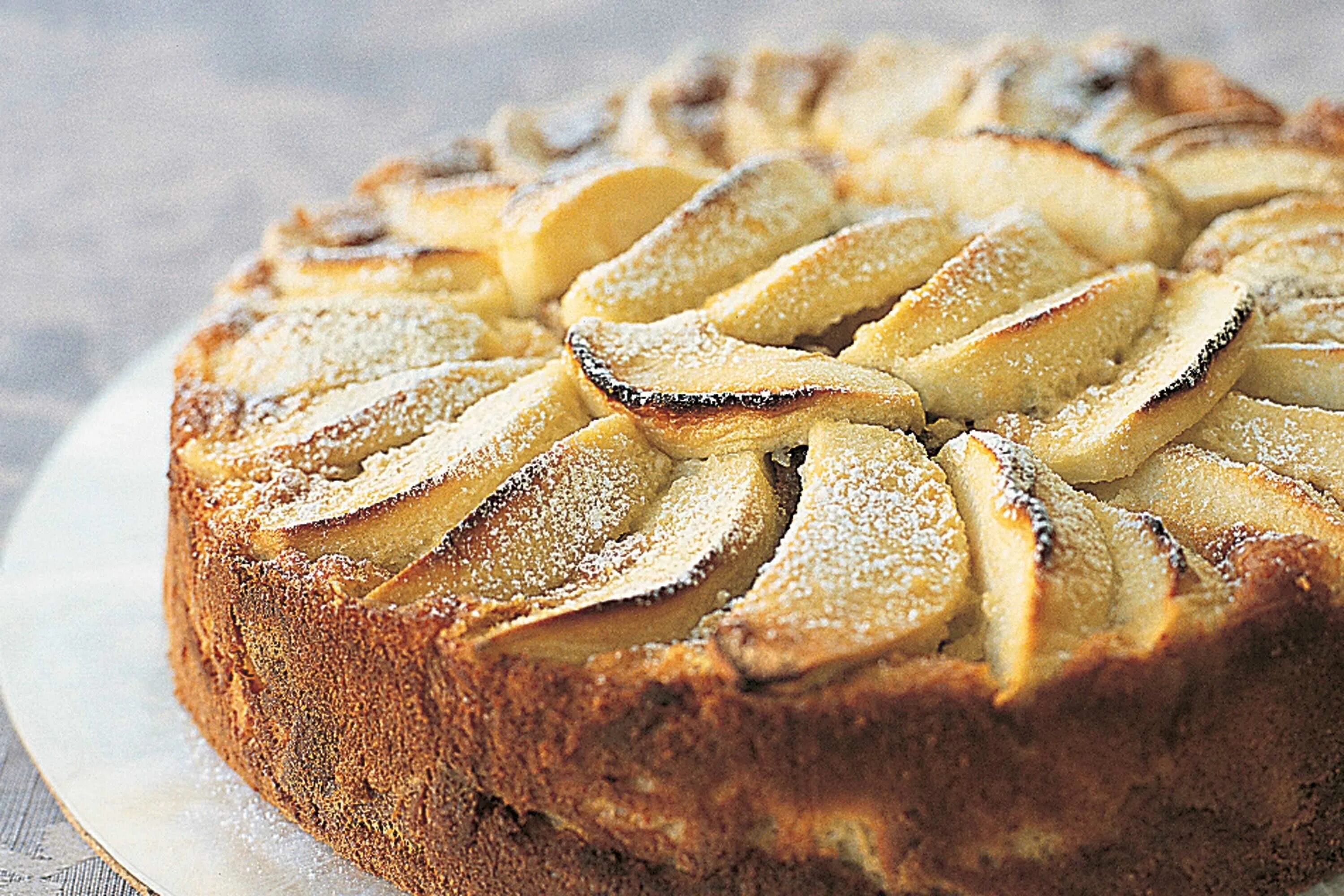 Яблочный пирог. Шарлотка с яблоками. Пирог с яблоками квадратный. Пирог с яблоком и корицей. Простой яблочный пирог быстро рецепт