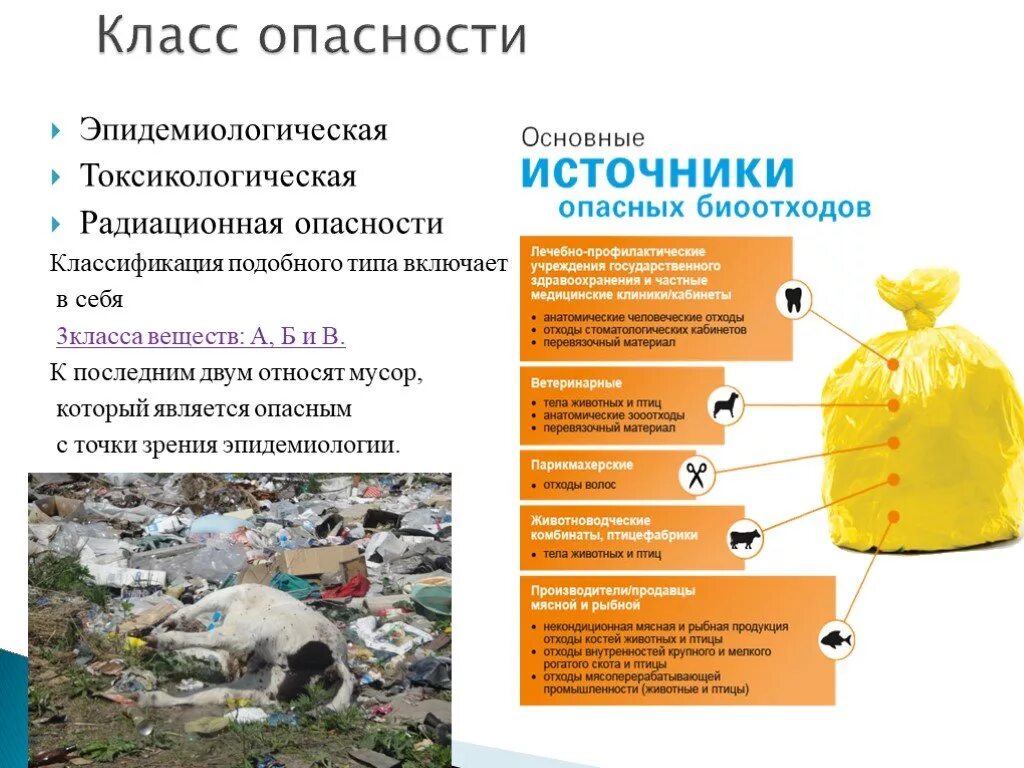 Утилизация биологических отходов. Классификация биологических отходов по классам опасности. биологические отходы класс опасности. классификация отходов биоотходы. биологические медицинские отходы.