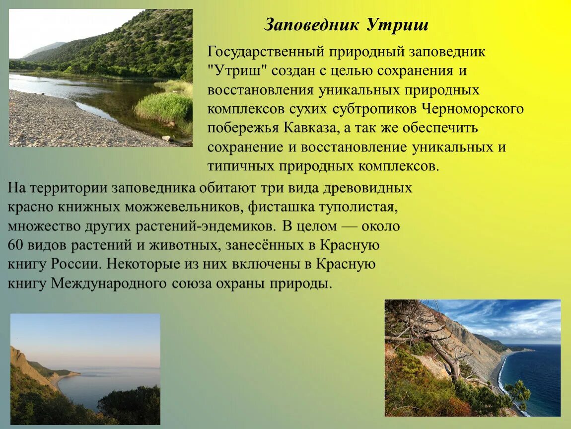 Государственный природный заповедник «Утриш». Краснодар Утриш заповедник. Заповедные зоны Краснодарского края. Заповедник Утриш доклад 4 класс.