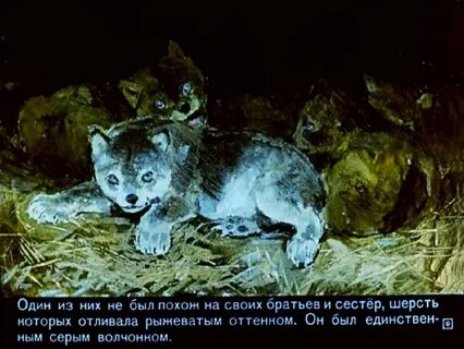 Автор написавший про белого клыка 6