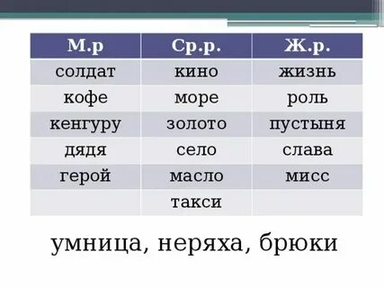 Слово кенгуру мужского рода