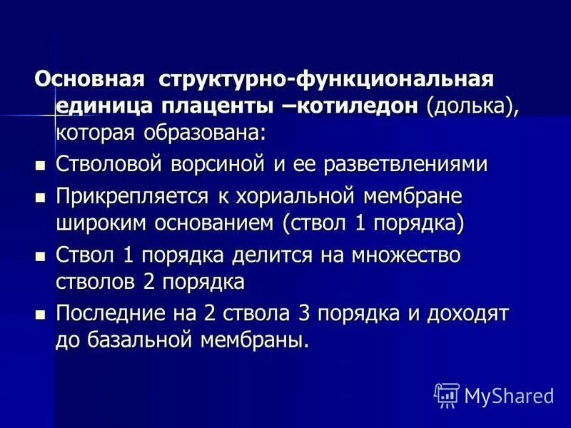 основная структурная и функциональная единица