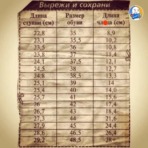 Факторы Влияющие На Размер Пениса