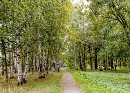 12 сентября парк
