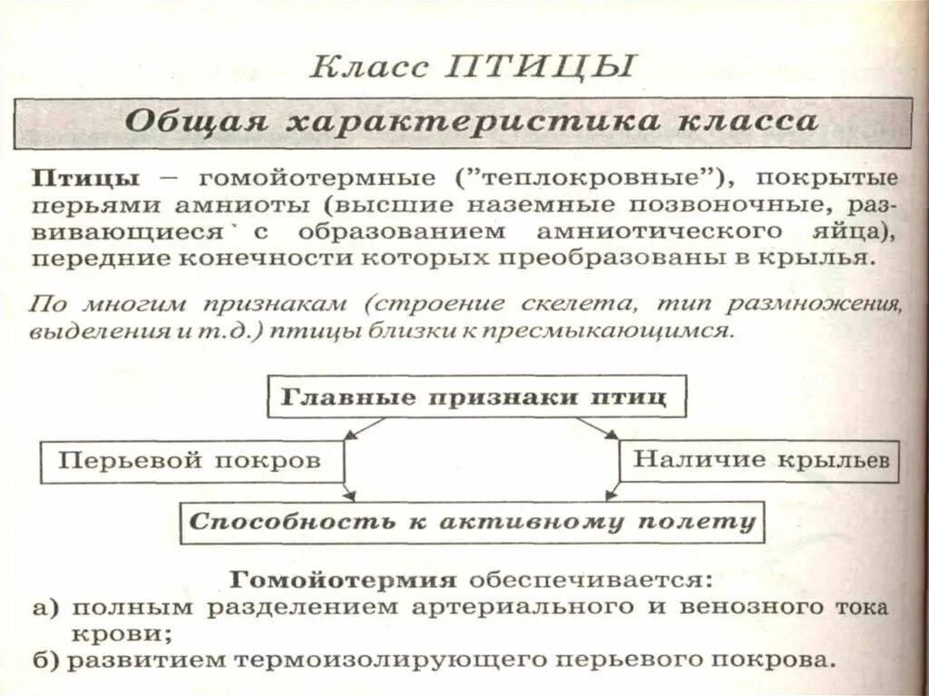 Таблица по биологии 7 класс характеристика птиц. Общая характертстикаклас птиц. Класс птицы общая характеристика класса. Птицы основная характеристика. Класс птицы общая характеристика.