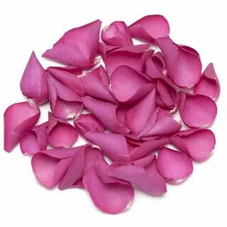 Hot pink rose petals