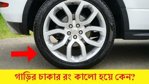 Wheel фото