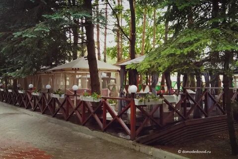 Парк елочки в домодедово аренда беседки