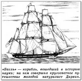 Ч дарвин путешествие на корабле