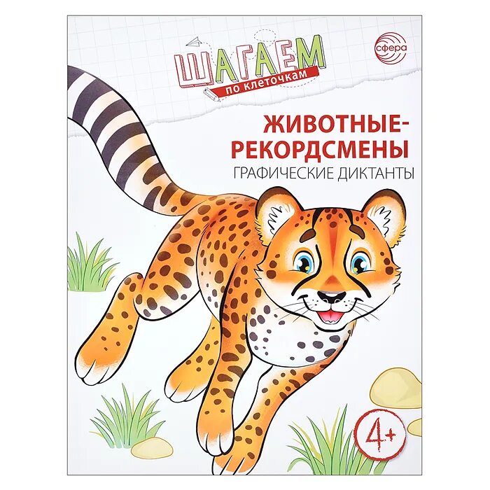 слоны – самые крупные наземные животные. пятнистый жираф. животные рекордсмены рисунки. жираф торникрофта, обитающий в замбии. красивый жираф.