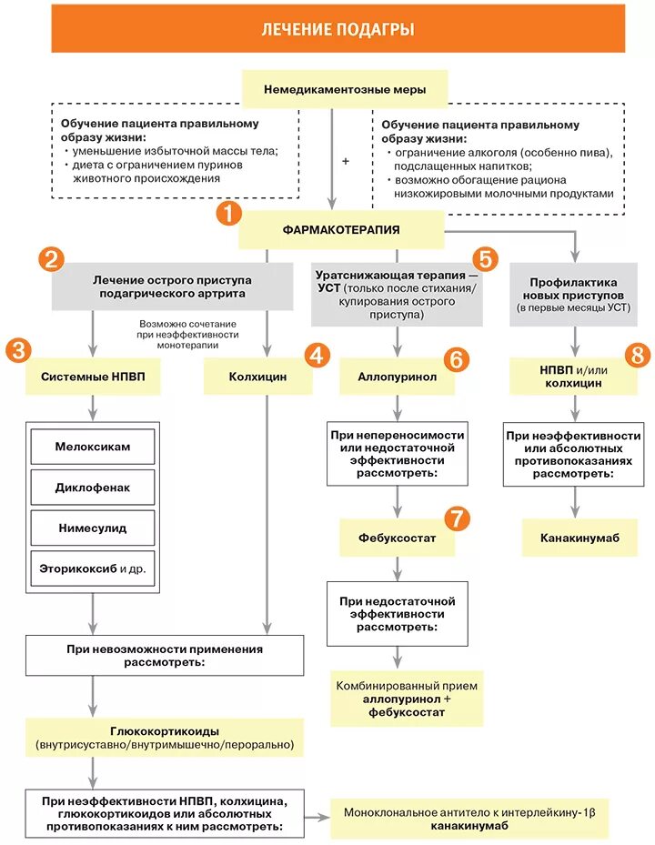 Эффективное лечение подагры. Схема лечения подагры. Схема лечения при подагре. Схема лечения острого подагрического артрита. Алгоритмы лечения приступа подагры.