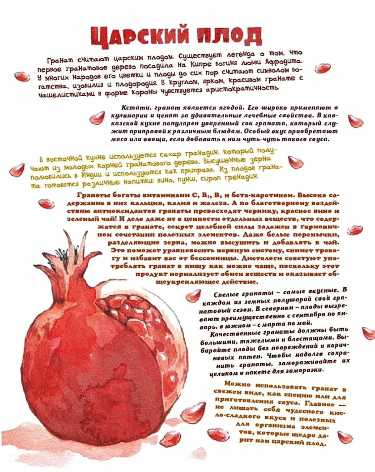 Гранат фрукт символ чего. Гранат - царский плод. гранат плод символ чего. гранат символизирует. полезные свойства граната.