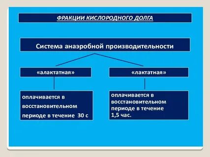 Величина кислородного долга