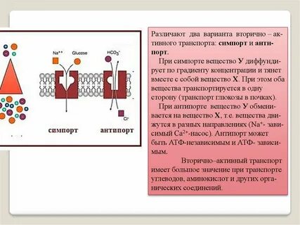 Вторичный вариант