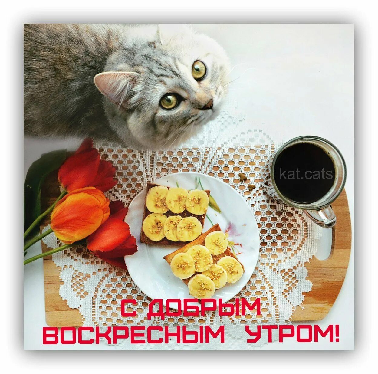 С воскресным добрым утром красивые. С добрым воскресным утром. с добрым утром воскресенья. с добрым утром воскресе. сдобрым воскоесным утром.