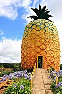 Fruit house