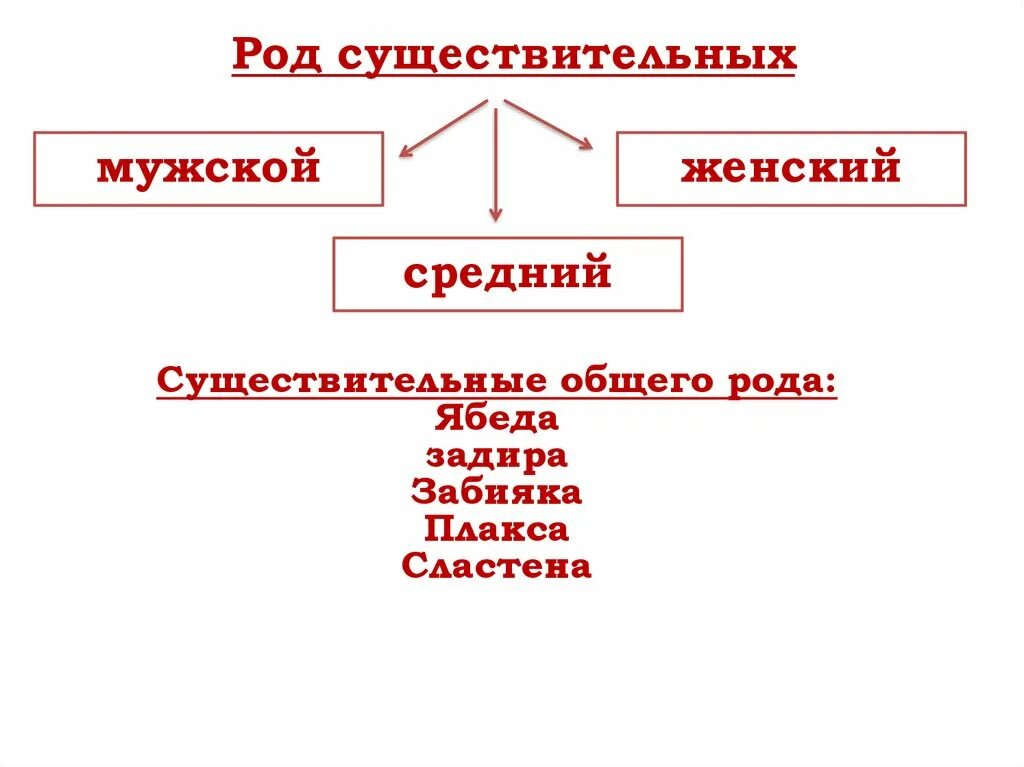 Существительные общего рода. Род слова ябеда. Ябеда род существительного. Сластена род существительного.