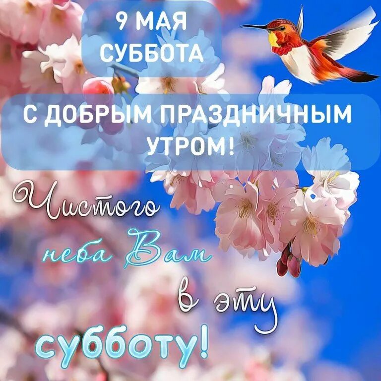 Пожелания мирного доброго утра небо над головой. Доброе утро мирного неба. Доброе утро и миоюрного неба. Мирного дня. Доброе утро! Минного неба.