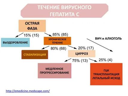 Выздоровление после гепатита с