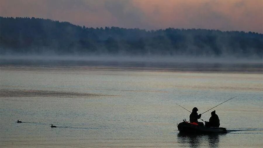 водный канал. обмеление волги астрахань. водоем мелеет. обмелело волгоградское водохранилище. река без воды.