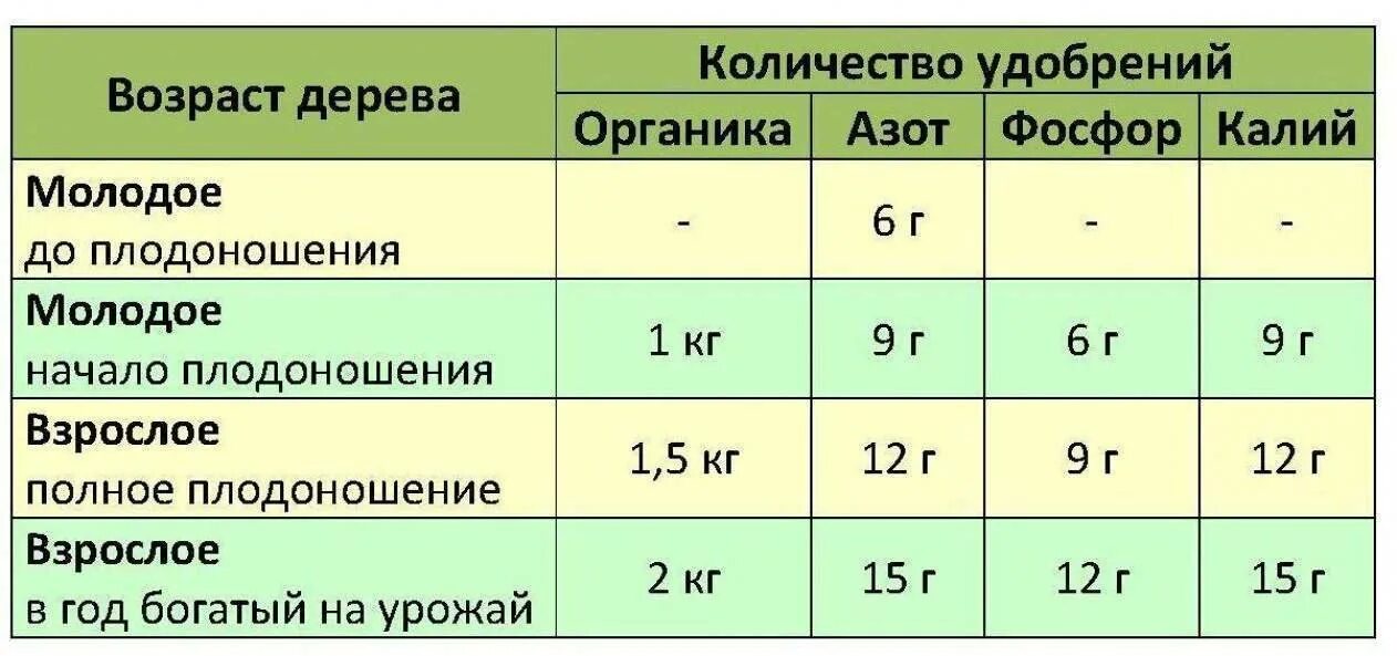 Подкормка дерева 3