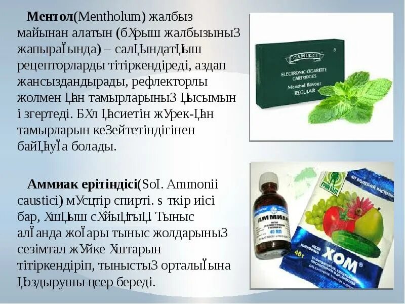 Помогает ли ментол. Ментол - mentholum. презентация ментол. ментол применение. ментол для чего применяется.
