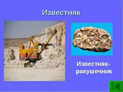 Ракушечник 3 класс