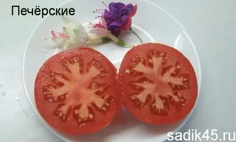 Томат пожарский