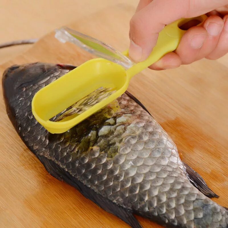 Чистка для рыбы купить. Рыбочистка Satake Fish Scaler 303601. Рыбочистка Killing Fish Knife. Рыбочистка SACC-003fs Fish Scaler. Скребок для чистки рыбы Fish Skin Remover.