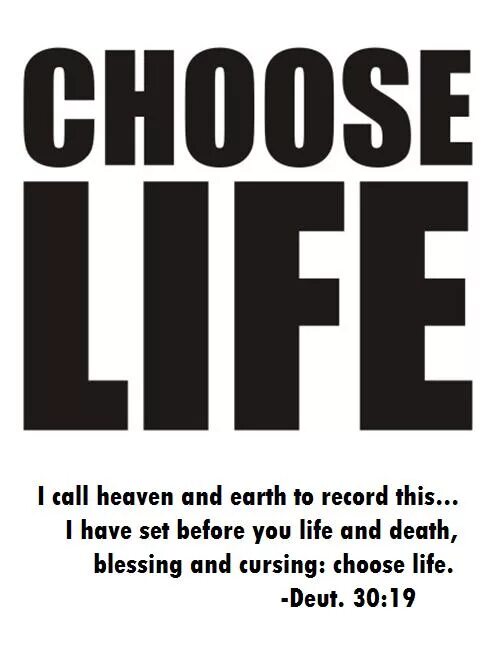 Choose of life 3