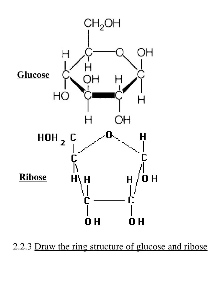 Гуанин рибоза. Glucose Ring structure. Molecular structure of glucose. Глюкоза и рибоза. Рибоза пептид.
