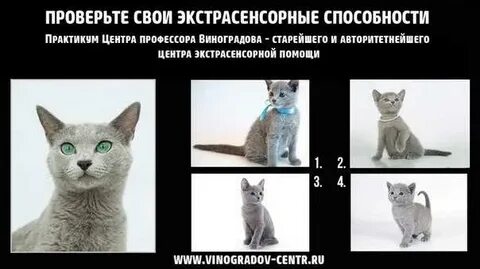 Тест на экстрасенсорику